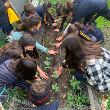 Captura de Pantalla 2023-08-17 a la(s) 20.26.41