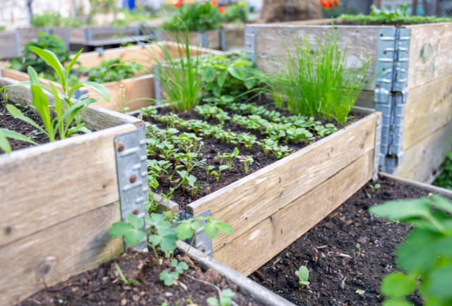 Descripción de la imagen