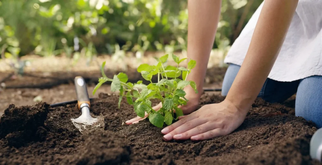 Presentación de Hub Apta sobre nueva plataforma para licencias de prueba y transferencia tecnológica