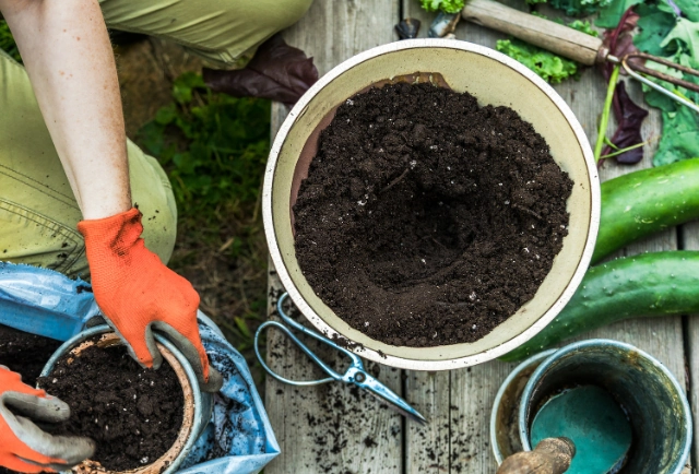 Descripción de la imagen